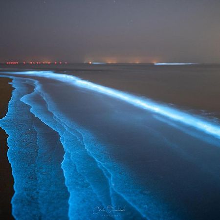 Kw96 Katwijk Aan Zee Daire Dış mekan fotoğraf
