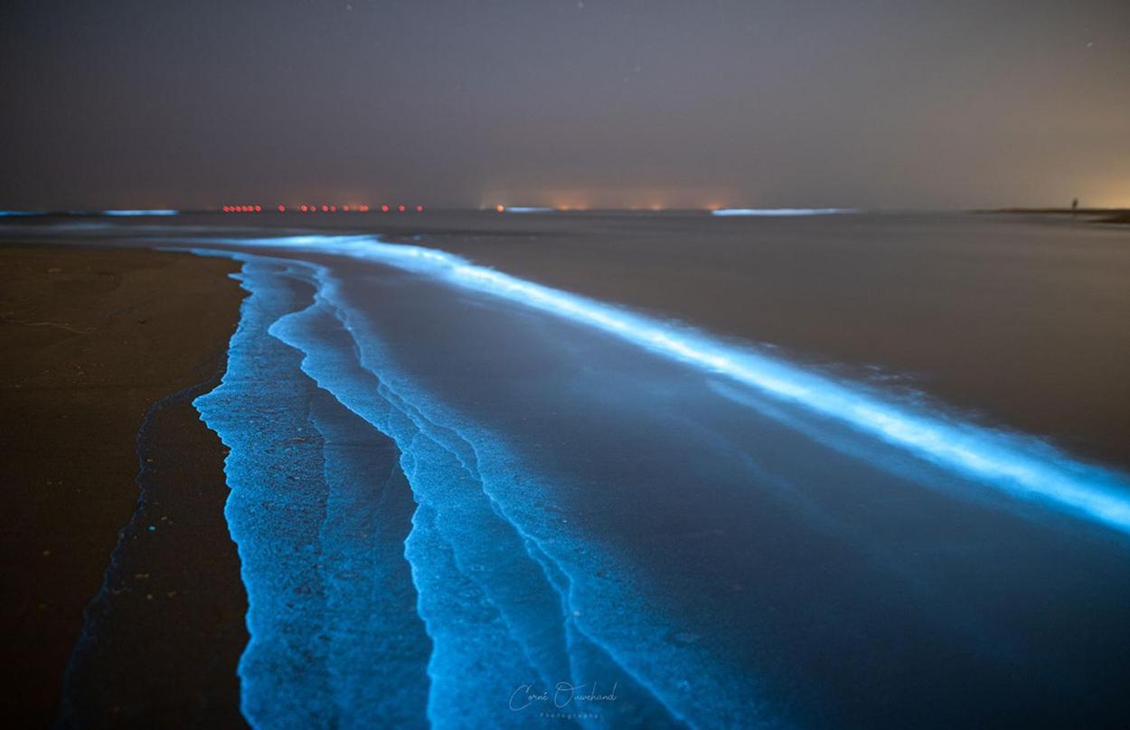 Kw96 Katwijk Aan Zee Daire Dış mekan fotoğraf